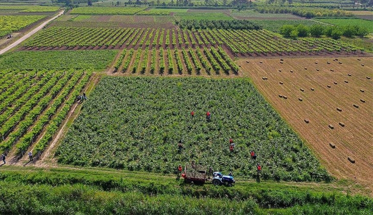 Konkordato talep eden Agroturkey Sera Teknolojileri’ne 3 ay süreyle geçici mühlet verildi!